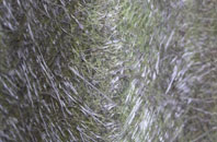 Hanningfields Green fibreglass roof work